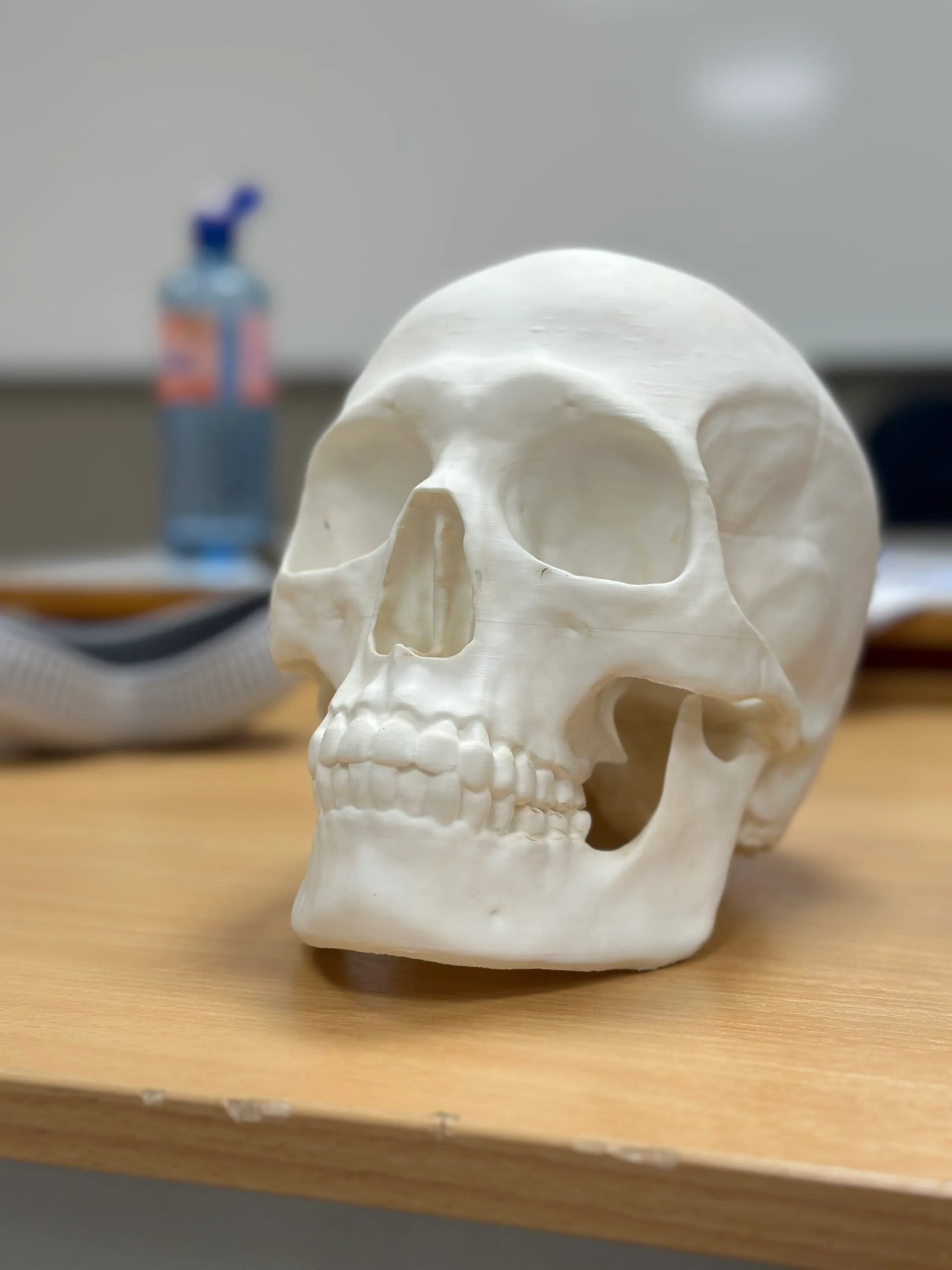 Ekempel på kortreist og lokalprodusert 3d printet modell.